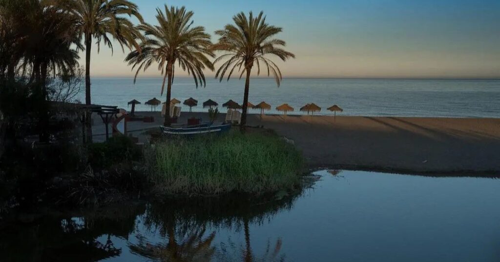 Nueva Andalucía, Marbella, Andalucía, Spain