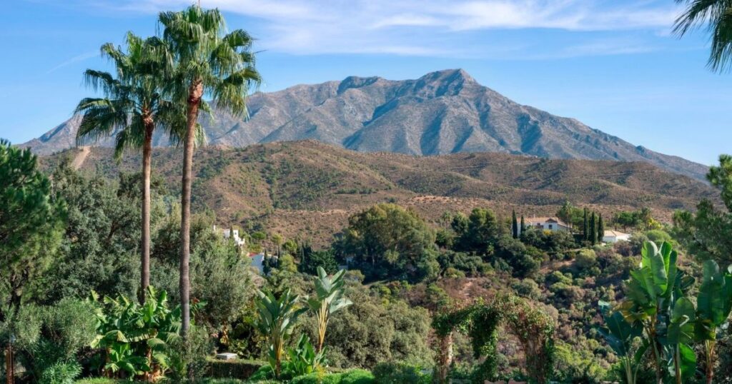 Villas for Sale in Benahavís